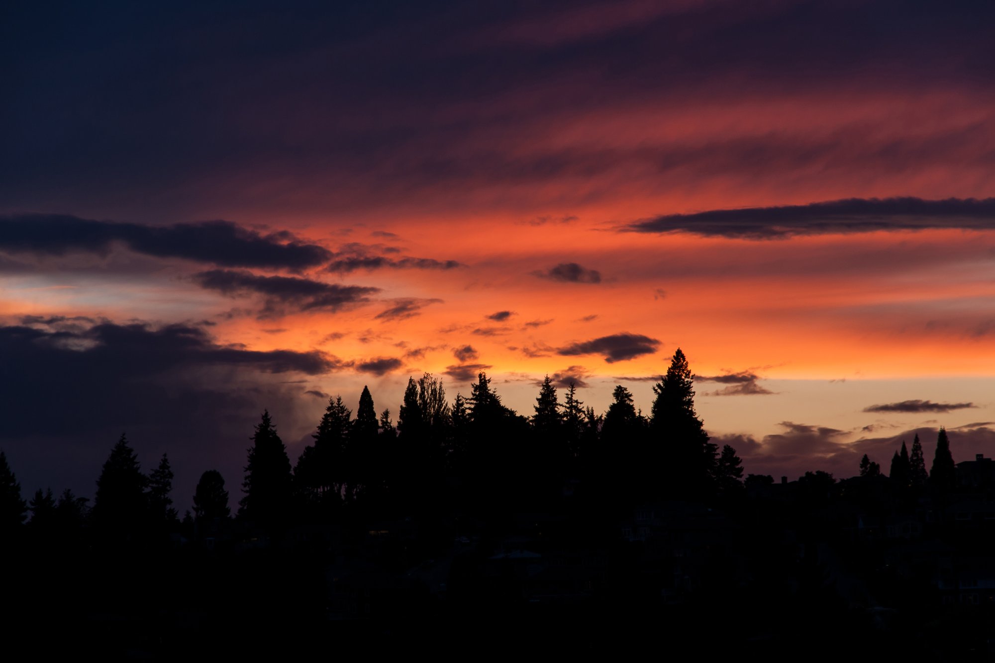 Sunset_IMG_2487a.jpg