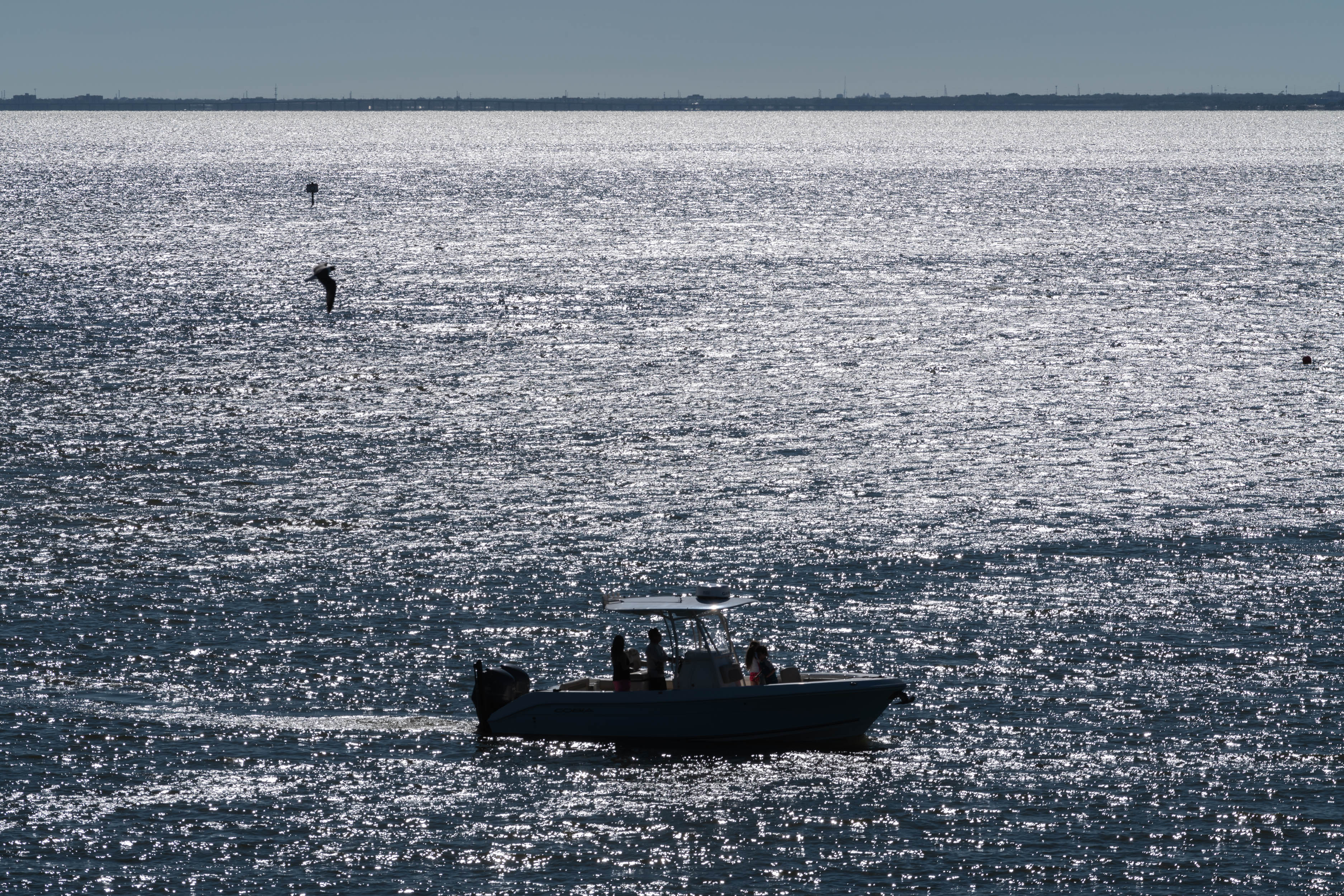 Tampa Clearwater-2500px-1.jpg