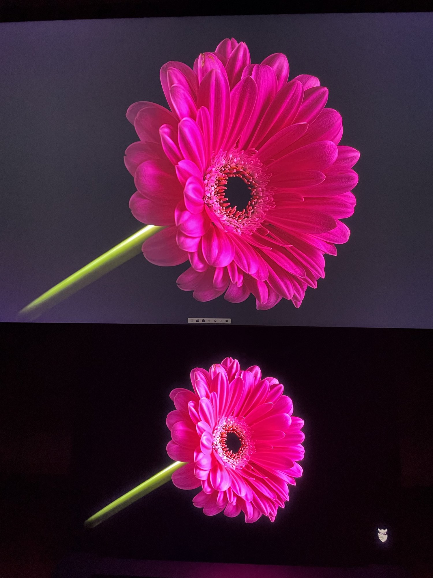 tempimage69veq4-jpg.1980236