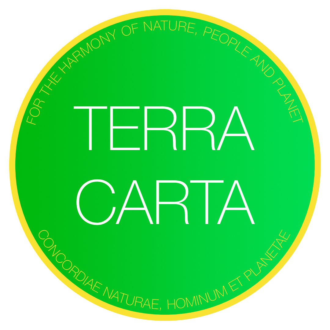 TERRA CARTA.png