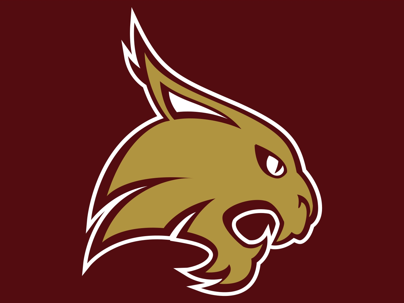 Texas State Bobcats 2.jpg