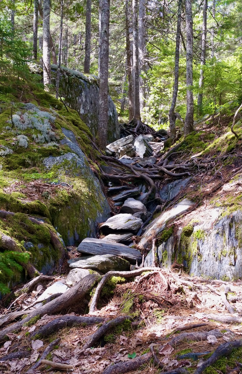The Trail 3.jpeg