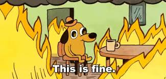 this is fine.jpeg