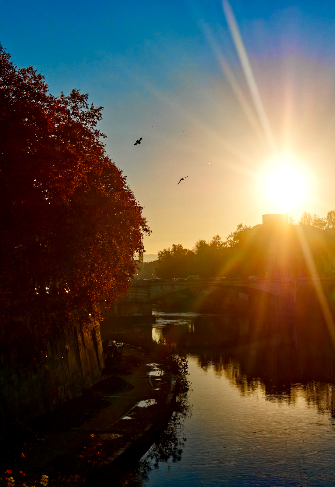 Tiber.jpeg