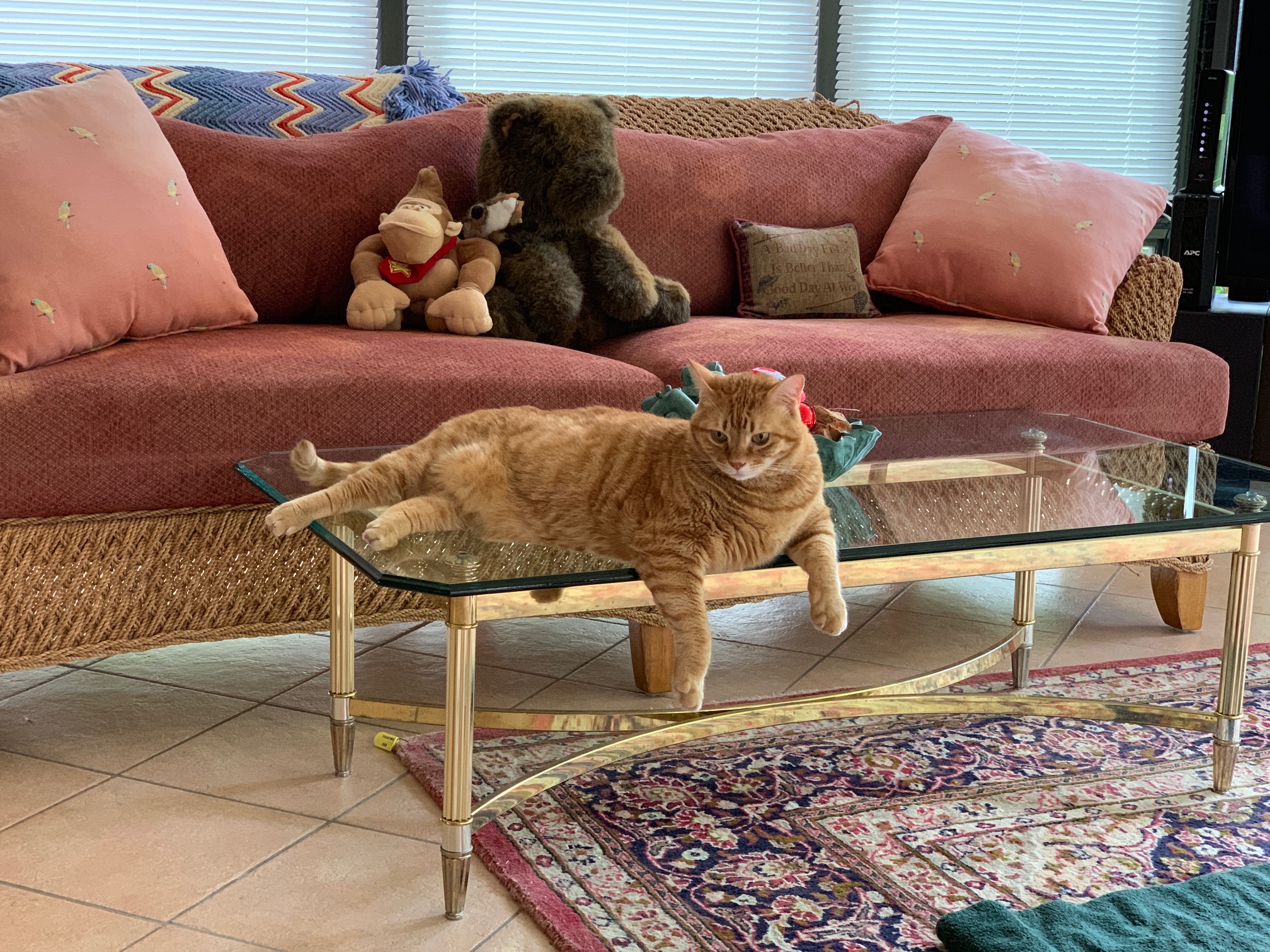 Tigger1.JPG