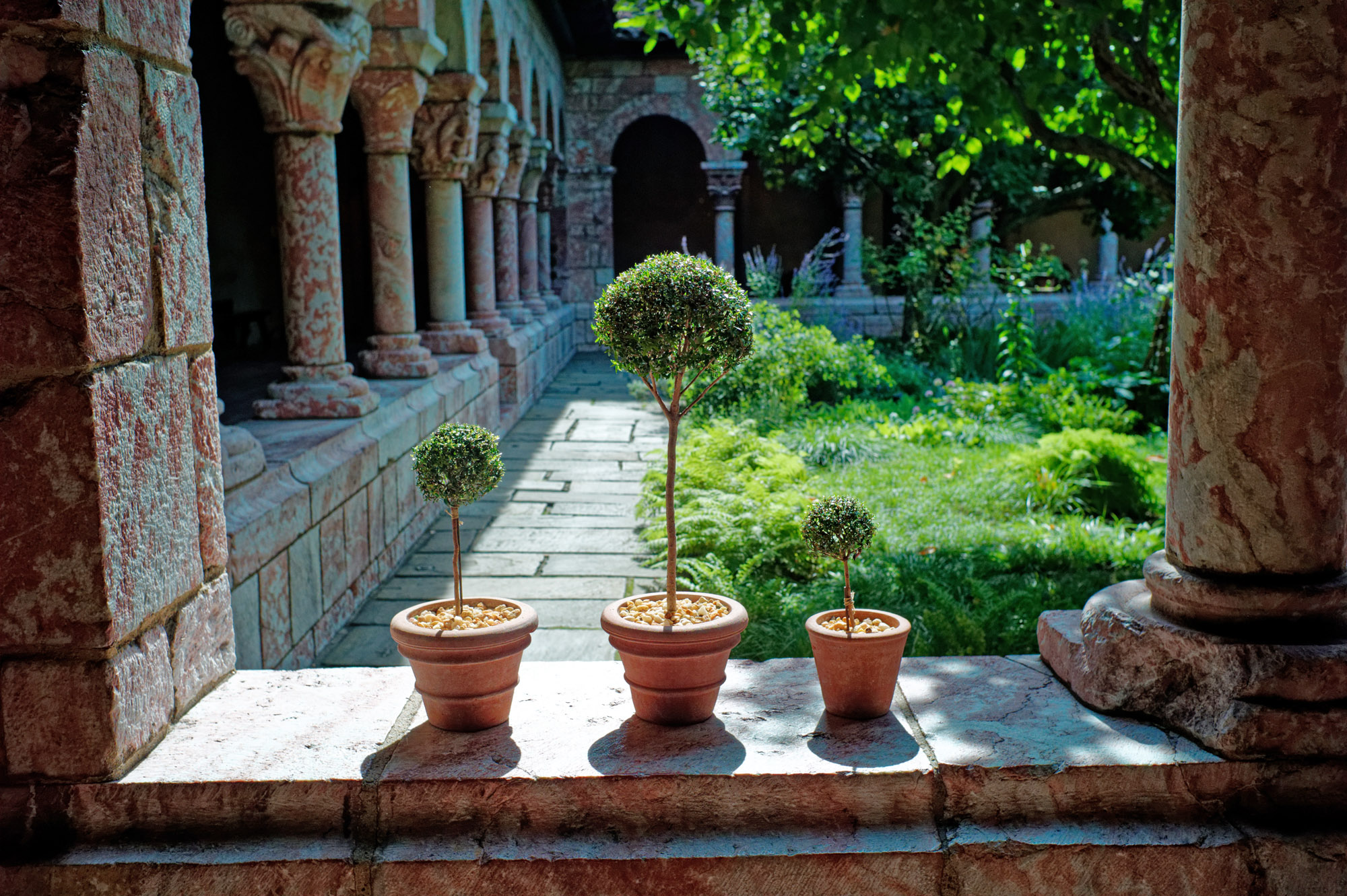 tinytopiaries2k.jpg