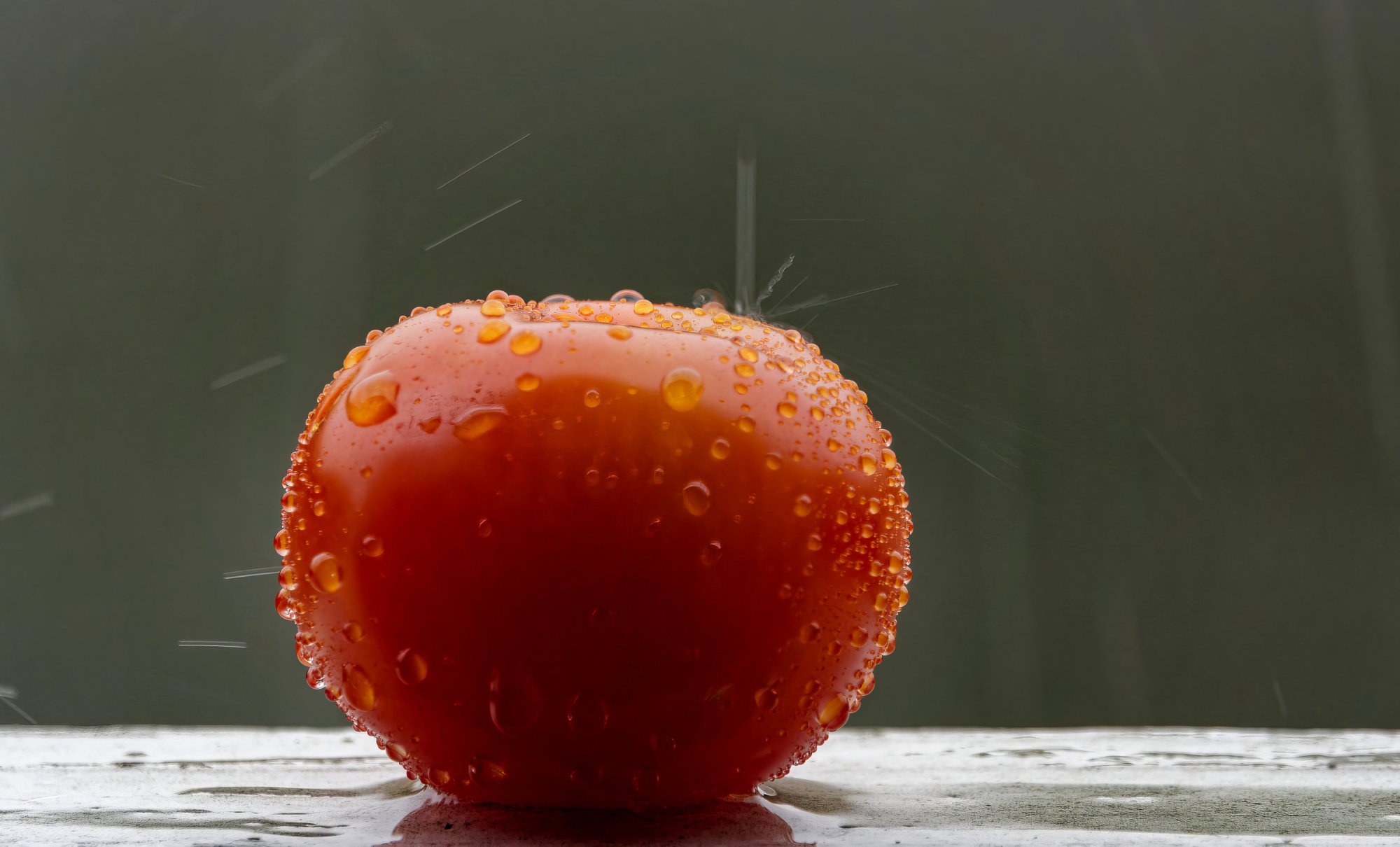 Tomato in the Rain.jpeg