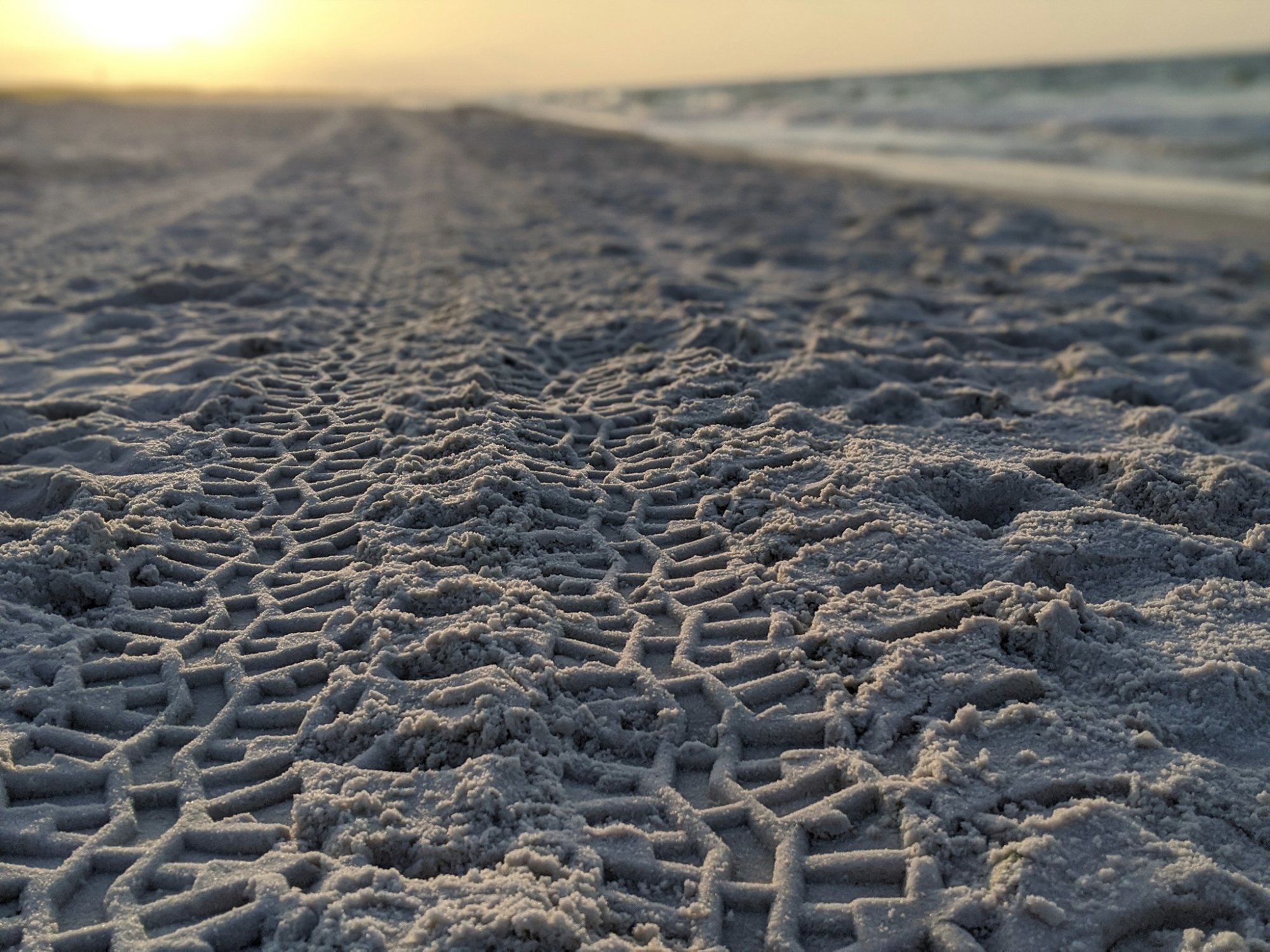 tracksonthebeach.jpg