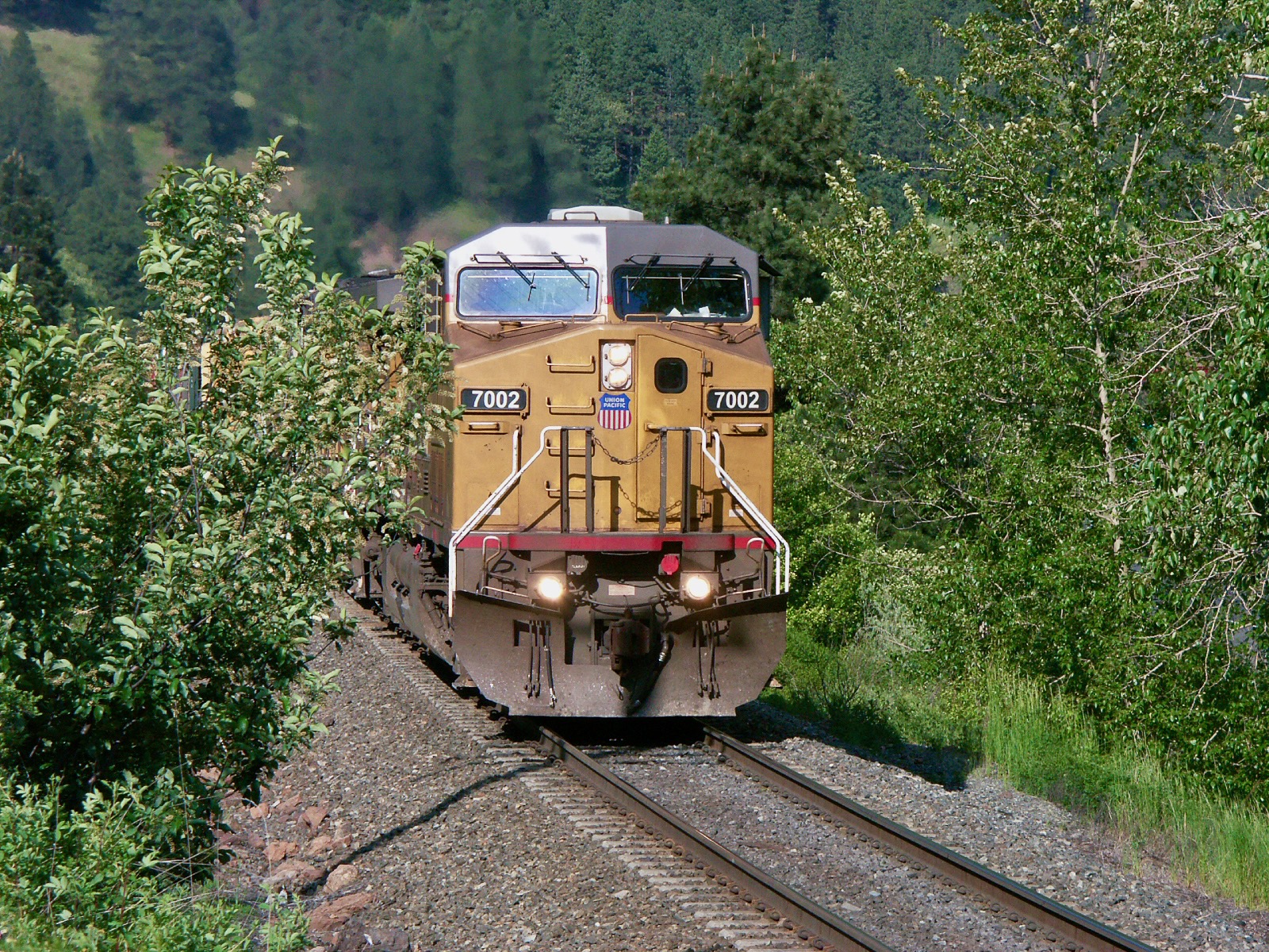 train - 1.jpeg