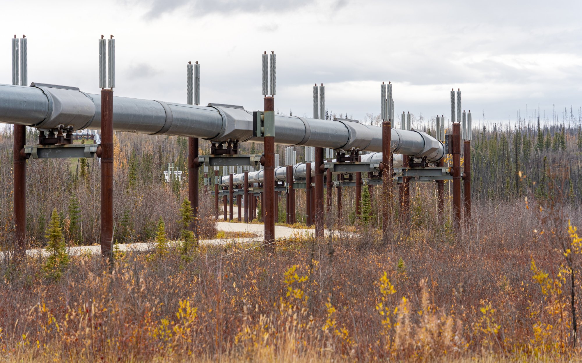 Trans Alaska Pipeline.jpg