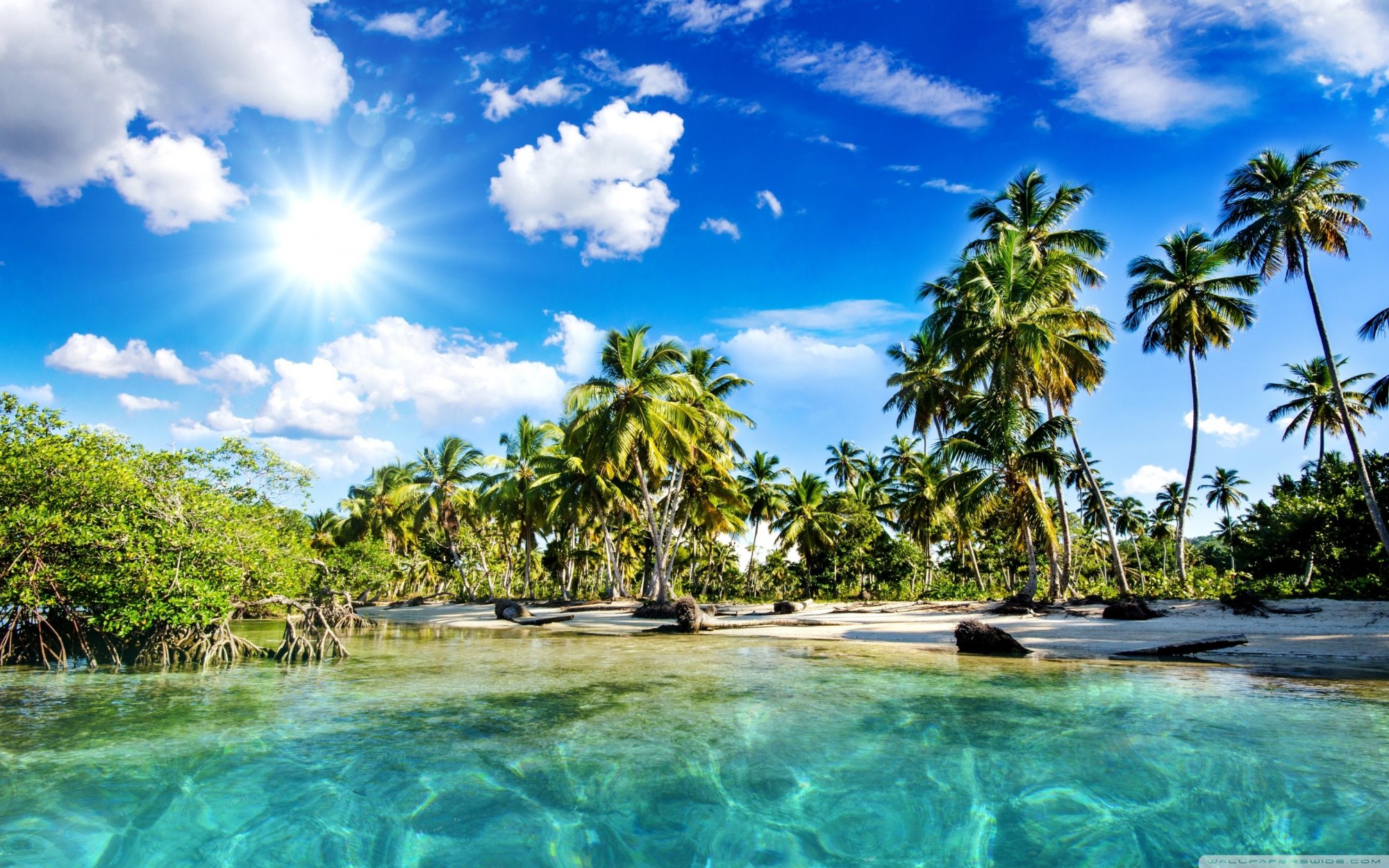 tropics_palm_trees_sun_beach-wallpaper-2880x1800.jpg