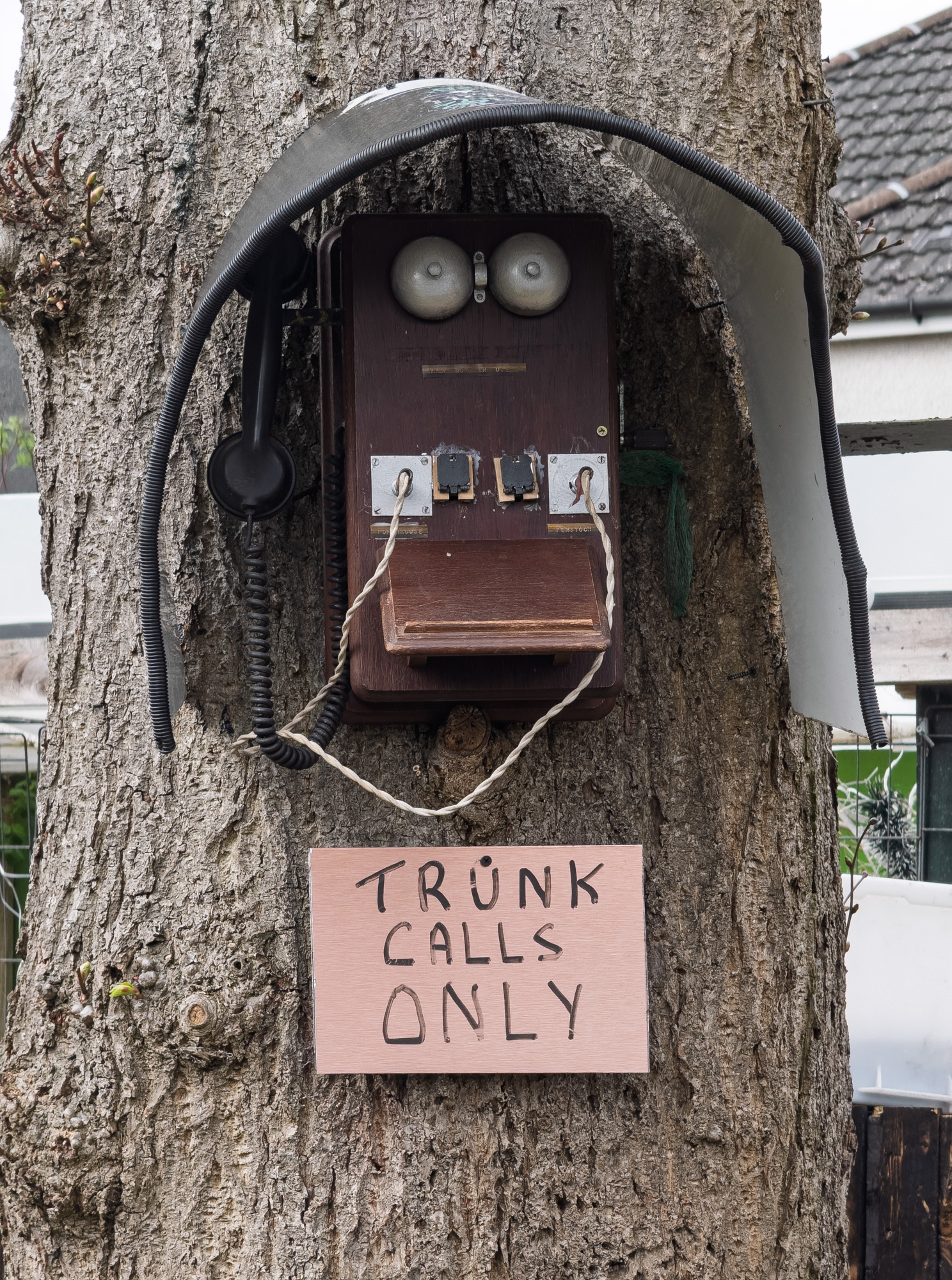 TrunkCalls20250331.jpg