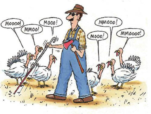 turkey_moo.jpg
