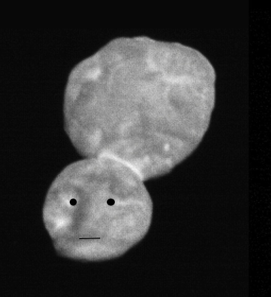 Ultima-thule-face.jpg