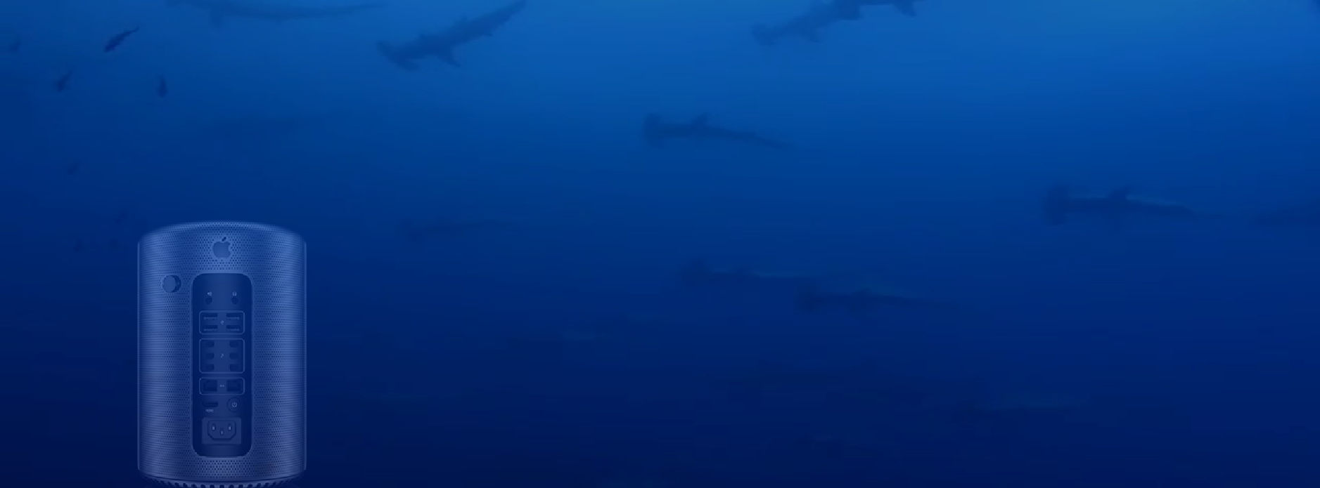 Untitled.png