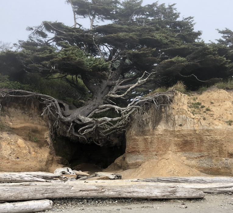 upload_2019-7-21_17-15-11.png