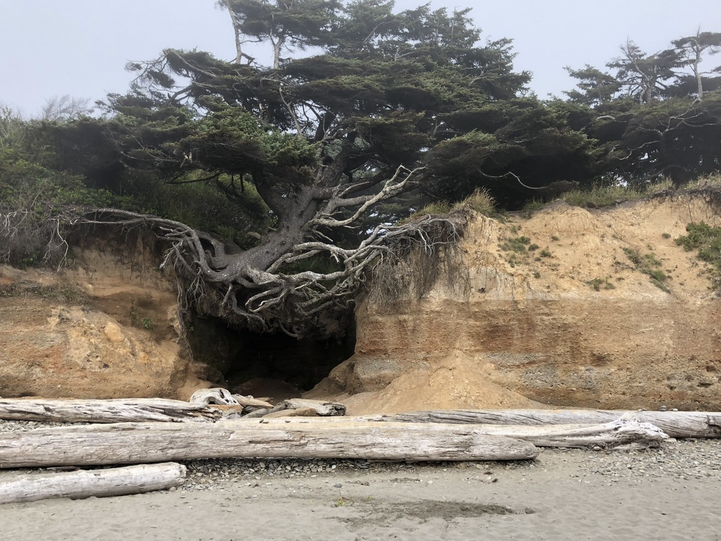 upload_2019-7-21_17-58-54.png