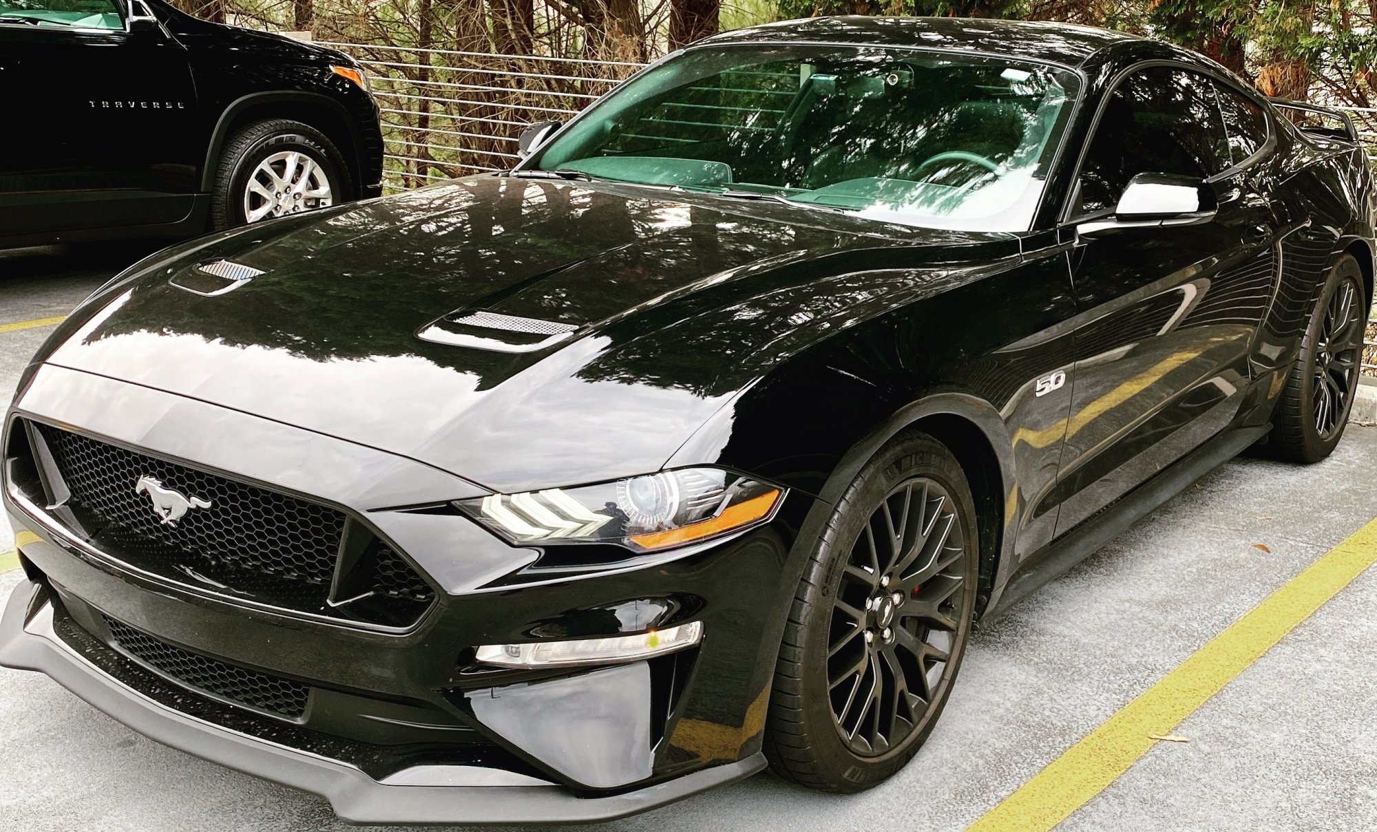 v8.jpg