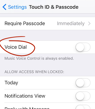 voiceDial.png