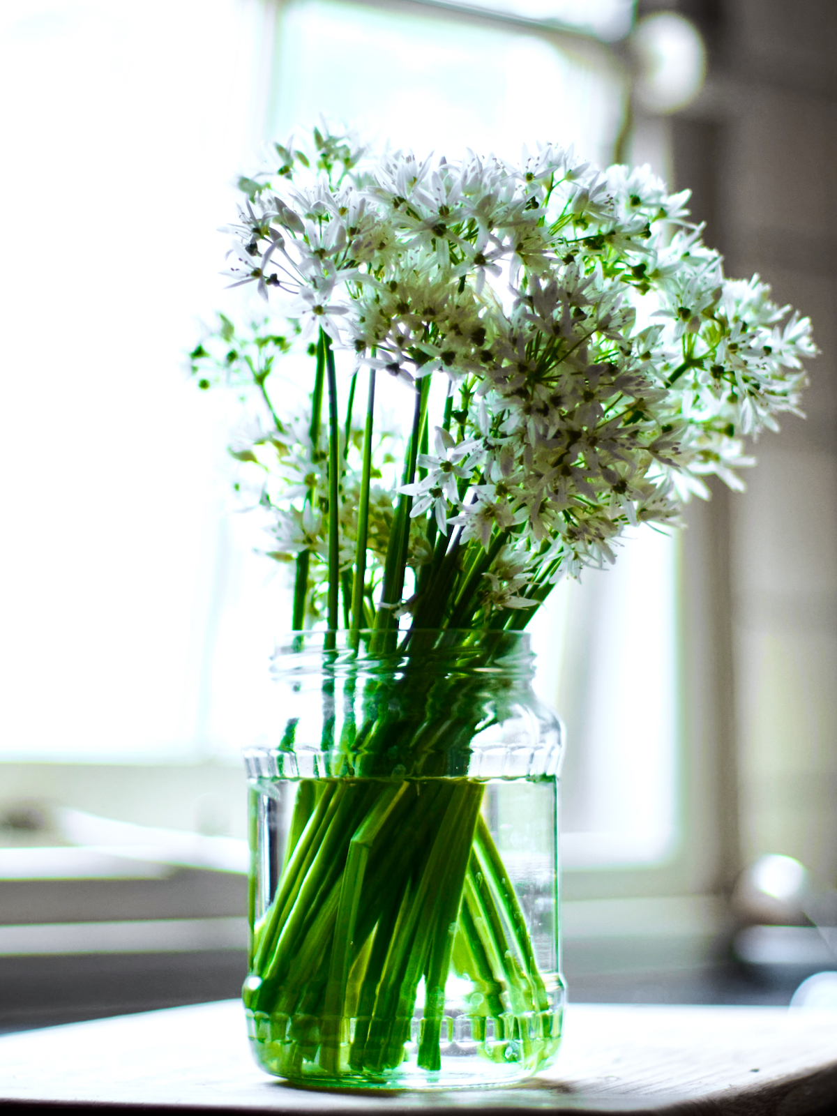 W Wild Garlic.jpeg