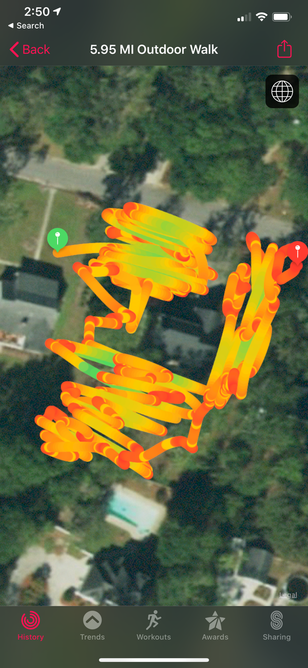 walk.png