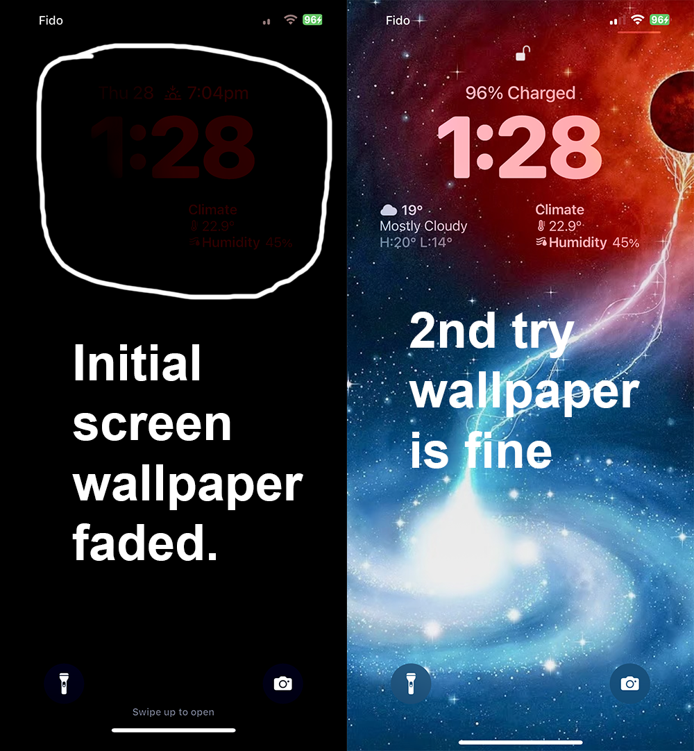 wallpaperbug.png
