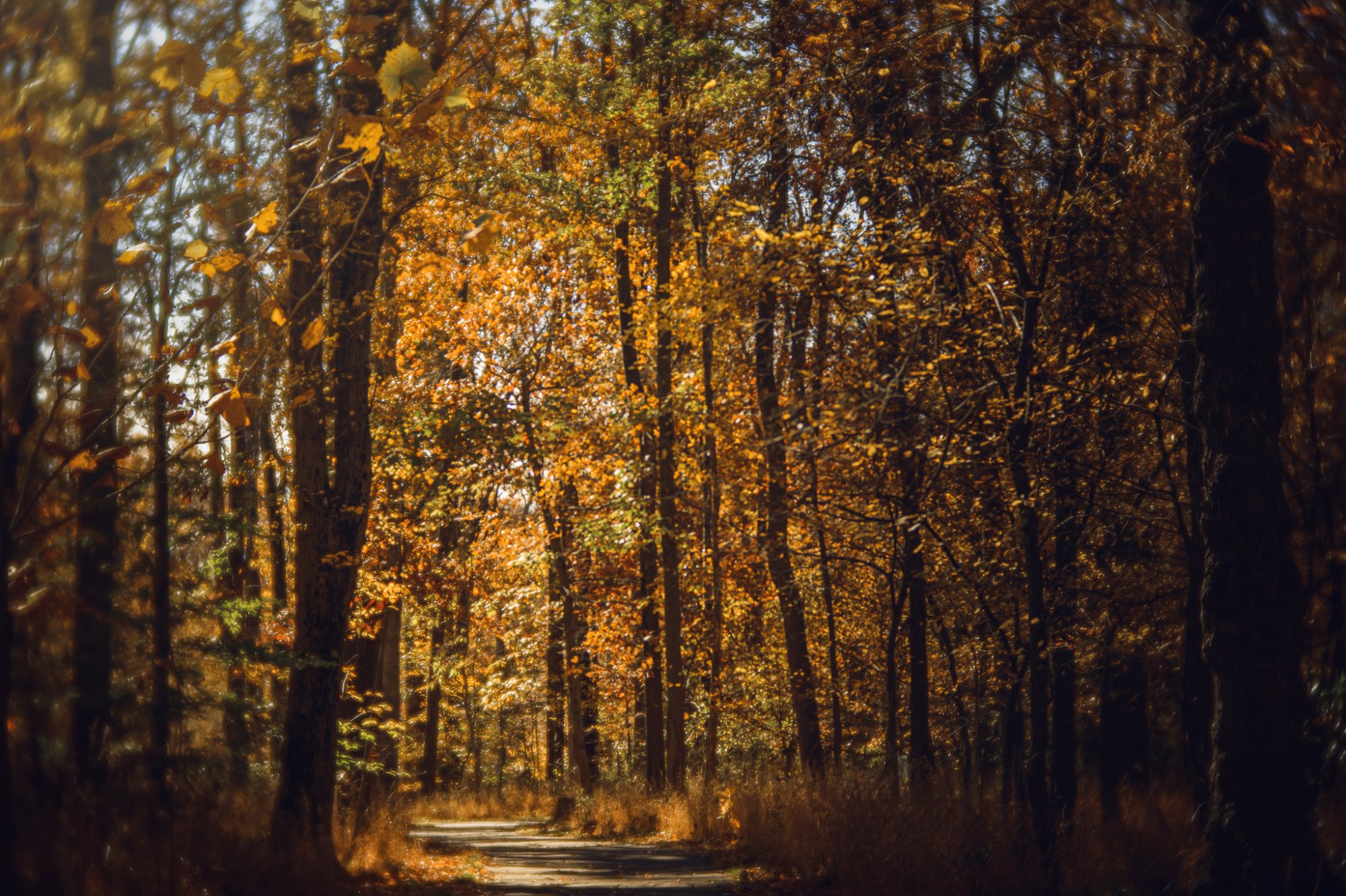 Web_November_16_2021_001.jpg