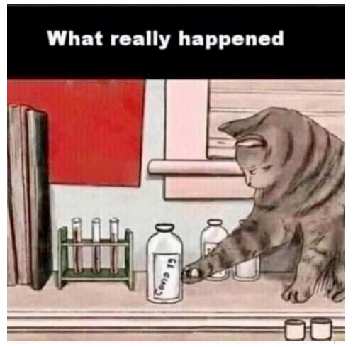 what really happened.jpg