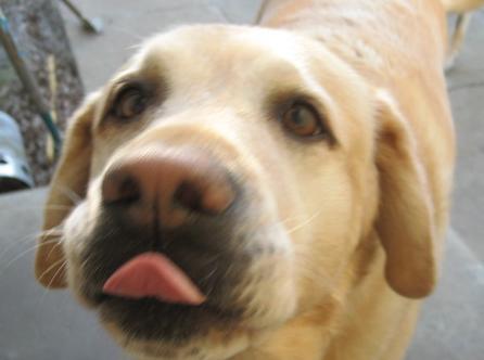 Willa.JPG