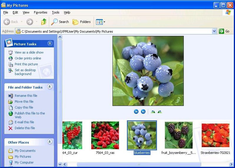 windows-xp-filmstrip-view.jpg