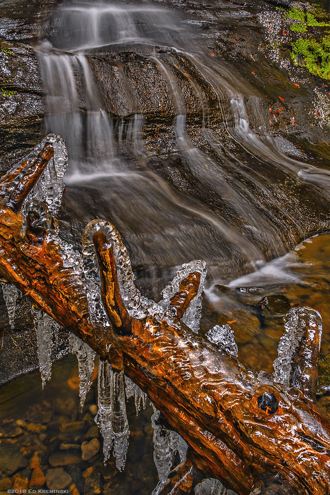 WinterIcedFallenTreeWaterfall.jpg