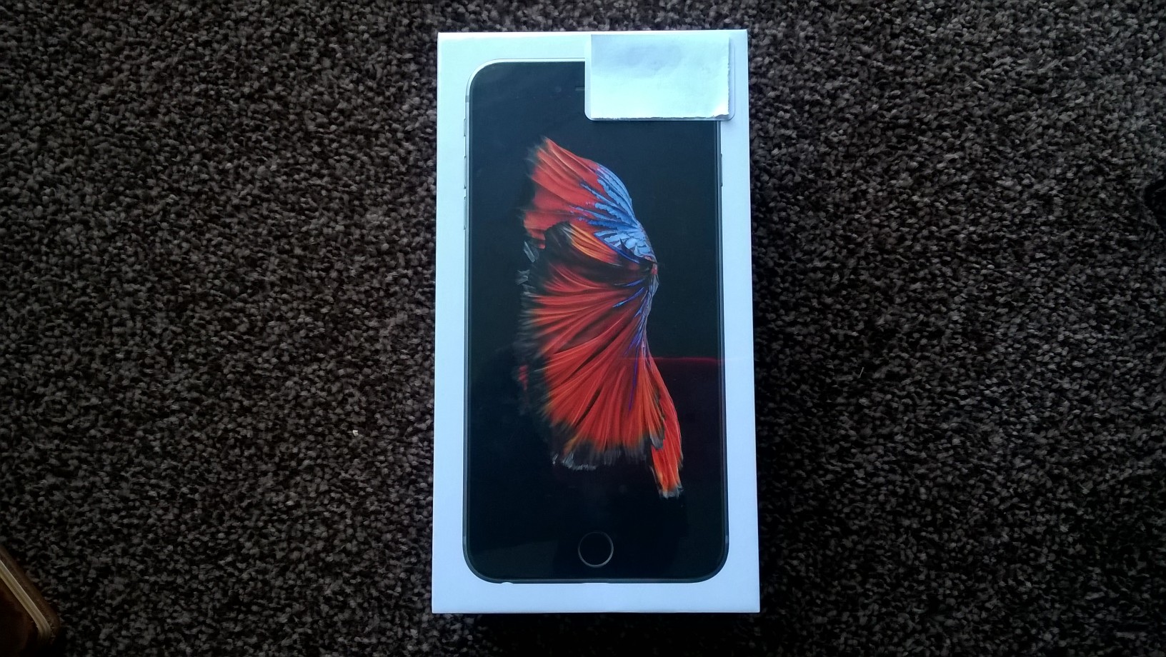 WP_20151001_001.jpg