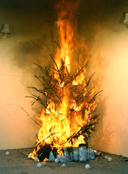 xmas-tree-72dpi.jpg