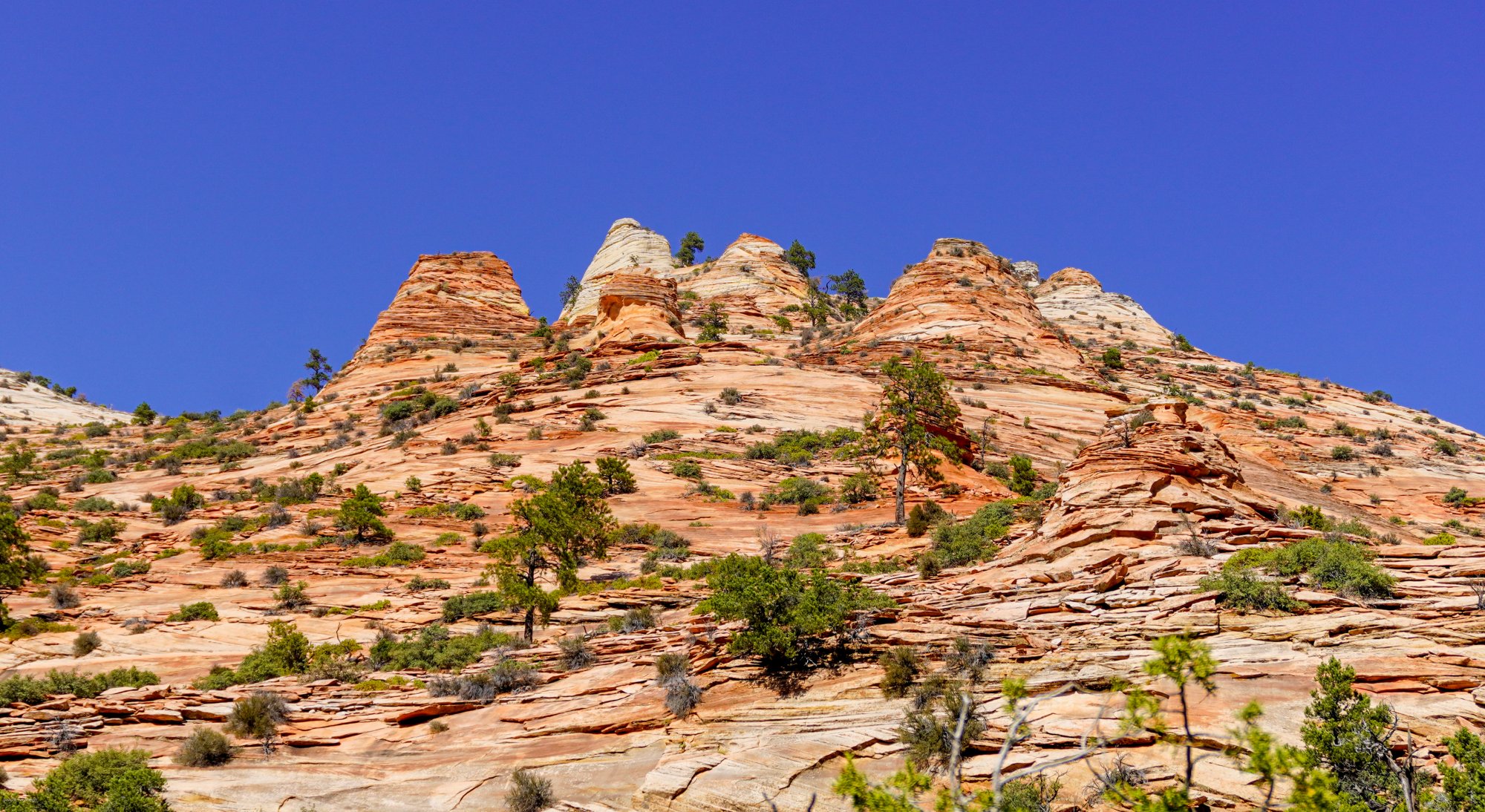 Zion.jpg
