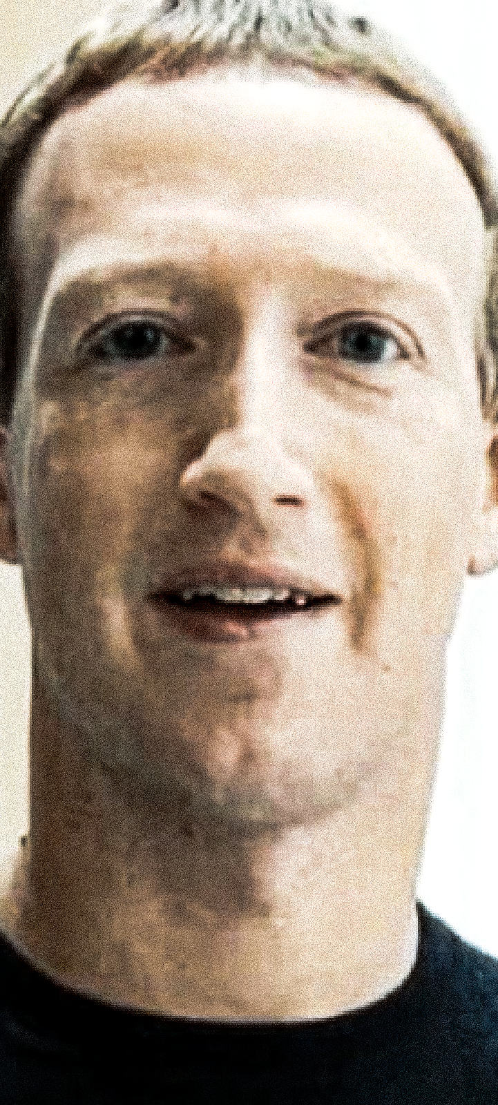 zuckerturd.png