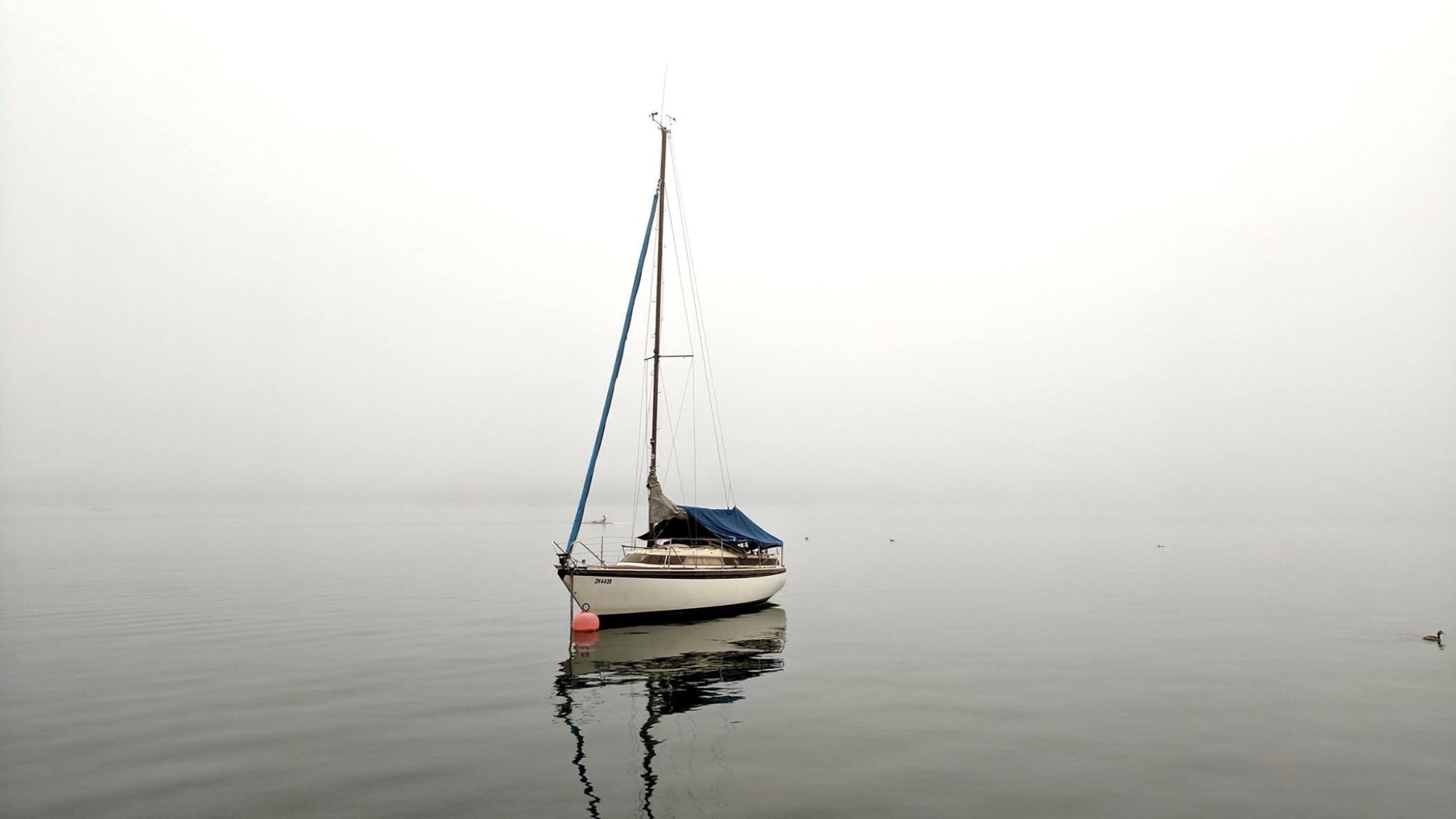 Zurichsee.jpg