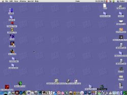 screenshot.jpg