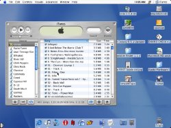 desktop 2.jpg
