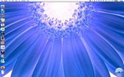 may_desktop.jpg