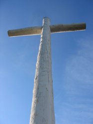 IMG_1302.jpg
