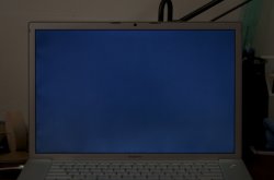 DSC_0375.jpg