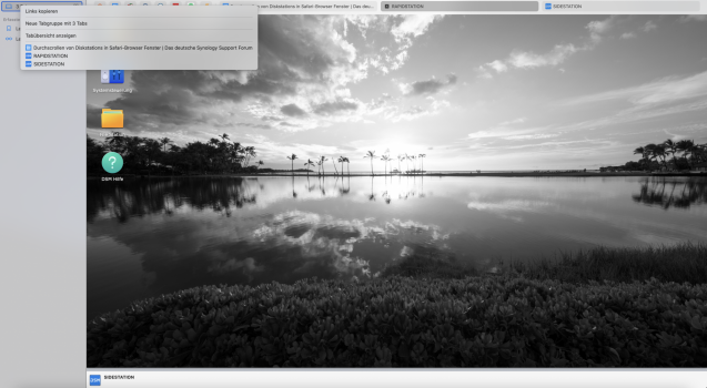 Screenshot DSM 02.png