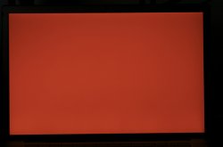 DSC_0393.jpg