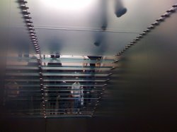 IMG_0133.JPG
