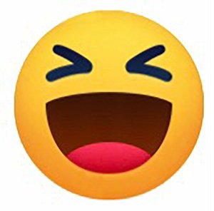 IMG_4601_Large LAUGHING Emoticon.jpg