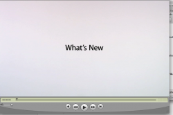Picture 1.png