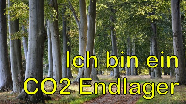 waldweg-unser-wald-100__v-gseagaleriexl.jpeg
