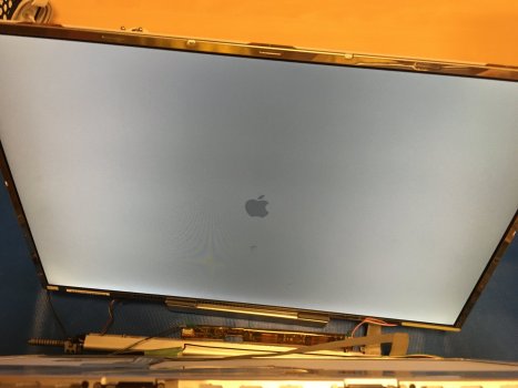 photo - 1.jpg