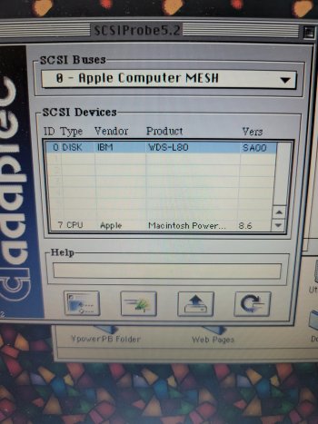 8.6_scsi_probe.jpg