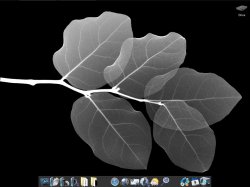 PC desktop.jpg
